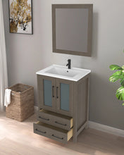 Vivicia 24" Bathroom Vanity with Mirror